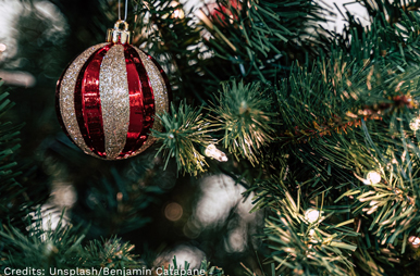 Weihnachtsbeleuchtung entsorgen trotz Shutdown